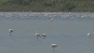 Luoghi da ri...Scoprire: VENDICARI (SR)