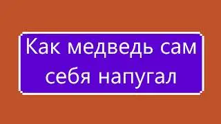 Н. Сладков-Как медведь сам себя напугал.Читает  Т.А. Соколова. Библиотека мкрн. Луговая.