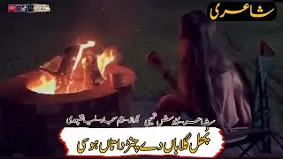 🌹Phol Gulaba De | Saraiki Sad Poetry | Wakhra_Malang |#Short
