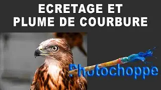 ECRETAGE ET PLUME DE COURBURE M5 Photochoppe