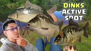 Dinks Active Spot 25/05/2024❗❗ Copper Lake - Russian Fishing 4 Indonesia