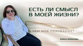 Есть ли смысл в моей жизни? В чем мое призвание?