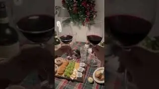 Enjoy the Ultimate Wine-Drinking Experience with Vintorio