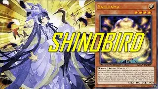 [EDOPRO] SHINOBIRD deck Feb.2023 | Post Cyberstorm Access