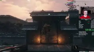 Sekiro Any% Speedrun in 