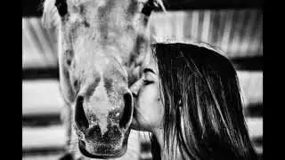 Animali, Terapia dell'Anima - V edizione