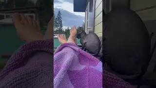 Мои хвостики всегда рядом #лето #белкаистрелка #бишон #сфинкс #животные #собака #кошка #ленобласть