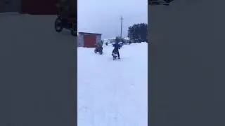 мои красноперки 