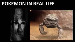 Mr Incredible Becoming Canny or Uncanny ( Pokemon Real Life 2 )
