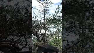 Смотровая на Ирганайское водохранилище | Дагестан.