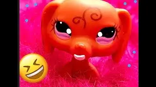 LPS Skit- I Have No Clue 😆😆❤️❤️