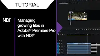 NDI Tutorials - Managing growing files in Adobe® Premiere Pro with NDI®