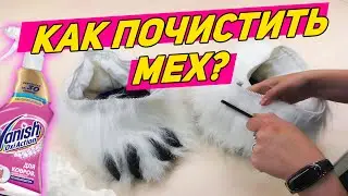 Как почистить искусственный мех костюма белого медведя