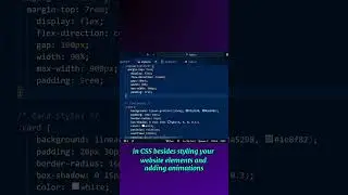 5 Easy Scroll Reveal Animation - HTML CSS JavaScript - Part 3 