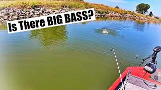There Has To Be GIANT BASS Here! (Dinks Need Love To)
