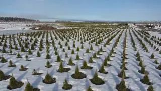 Весна крадется в наш питомник....