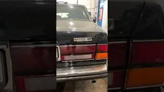 Silver spur