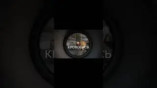 Кровосос или Псевдогигант?😂 Сталкер по сети 