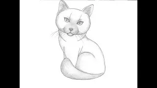 нарисовать кошку