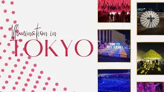 Japanese Christmas Illumination at One of the Biggest Racing Tracks in Tokyo