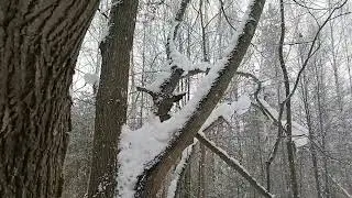 Снегопад