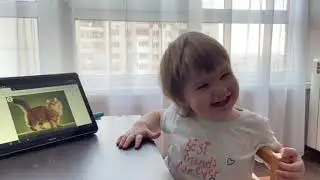 Развитие речи Как говорят животные