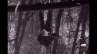 ДДТ Осень