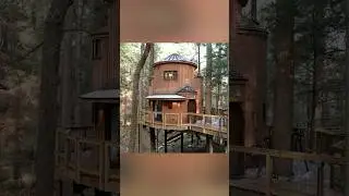 Enchanted treehouse: Step inside a magical escape #shorts