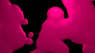BLOB 6 injected