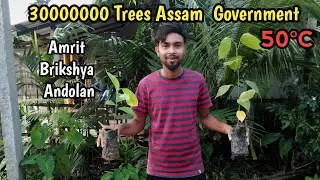 Amrit Brikshya Andolan 2024||आज मैं भी लगा दिया हमारे घर में||challenge part 2