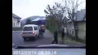 Дикий кабан в городе напал на людей