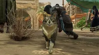 ASSASSINS CREED MIRAGE CAT EASTER EGG AND THE LOCATION I FOUND IT IN WELCOME KITTEN ONE! #fyp