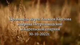 Проповедь иерея Алексея Кнутова 30 10 2022