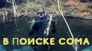 В поиске сома. Подводная охота 2020.