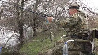 Крупный карась на поплавок с берега. Рыбалка в кайф.