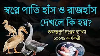 স্বপ্নে পাতি হাঁস ও রাজহাঁস দেখলে কি হয় | মুফতী বেলাল হোসাইন |