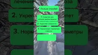 Чем полезны отруби