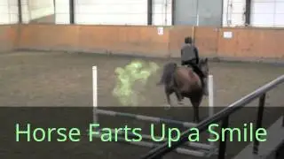 Horse Farts A Cloud of Smoke **cry** **cry**