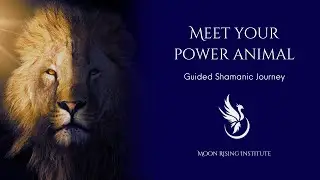 Guided Shamanic Journey: Meet Your Power Animal!