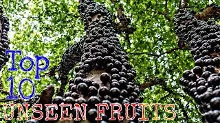 Top 10 Unseen Fruits they do exits On Earth!