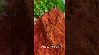 L’âme du monde