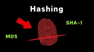 Hashing Explained (SHA-256, MD5)