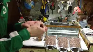 ТОПОВАЯ НАСАДКА НА КАРПА 