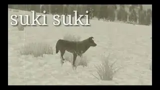 Клип||suki suki||