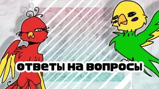 .•° 💫 ответы на вопросы 💫 °•.