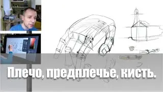 Плечо, предплечье, кисть / Видеокурс /Пластическая анатомия - А. Рыжкин