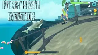 HUNGRY SHARK EVOLUTION | Dear Marshal Gamer
