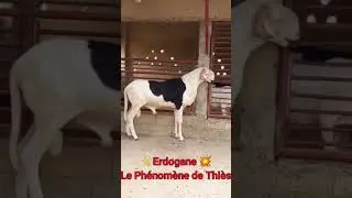 9 juin 2023