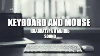SOUNDS Keyboard and Mouse (ЗВУКИ КЛАВИАТУРЫ И МЫШИ) | Soundbox
