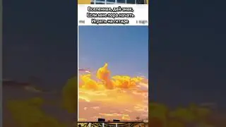 когда ждёшь знака от вселенной 